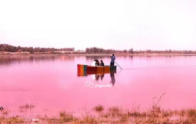 塞内加尔玫瑰湖