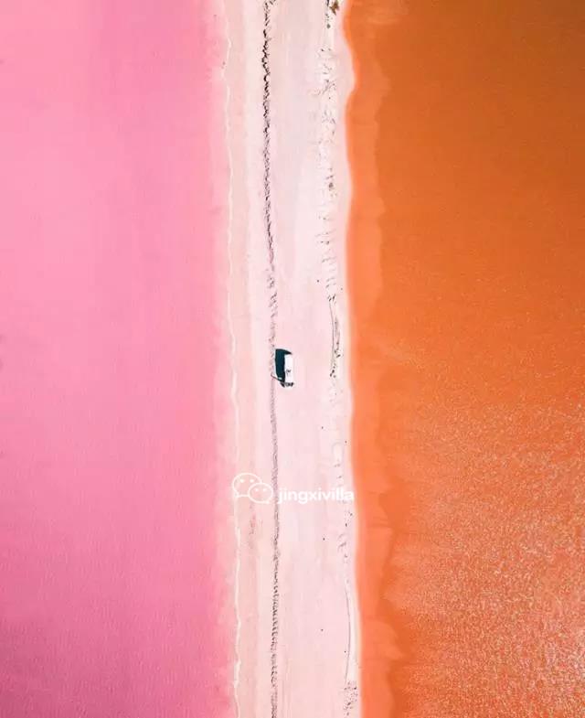 墨西哥粉红湖