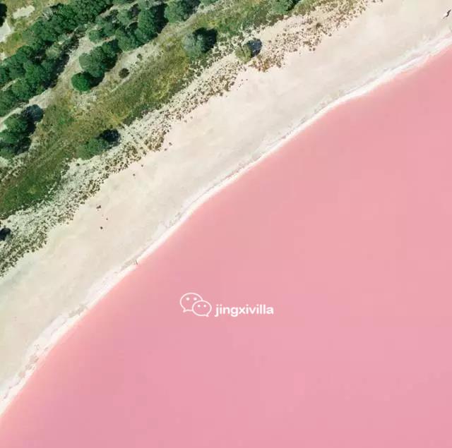 墨尔本粉红湖