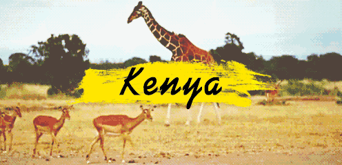 2018非洲肯尼亚冒险之旅