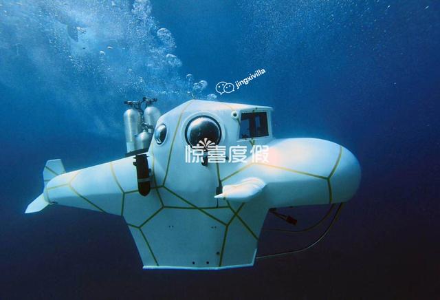 马尔代夫维拉私人岛海龟风小潜艇
