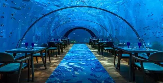 世界上最大的海底餐厅