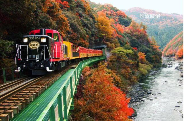 日本秋季旅游坐着火车赏枫
