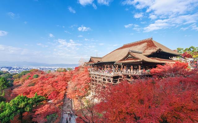 日本京都旅游推荐市内的红叶