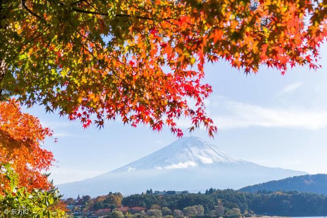 惊喜度假日本冬季旅游酒店推荐